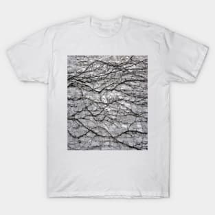 Textures #14 T-Shirt